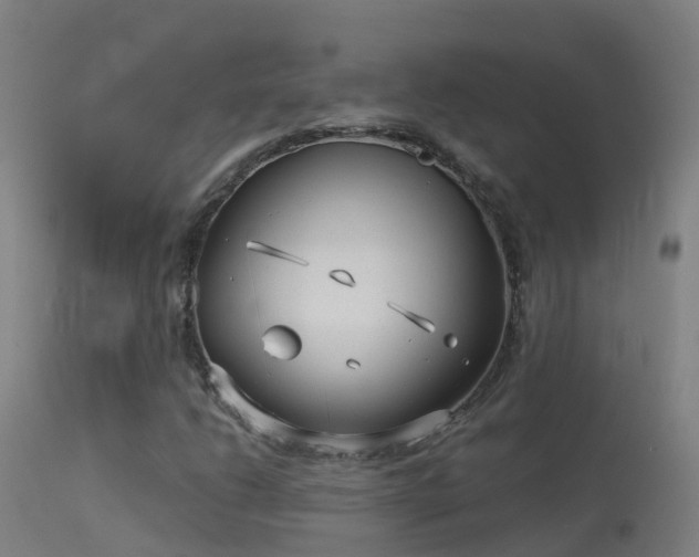 X0000114181206200910151652