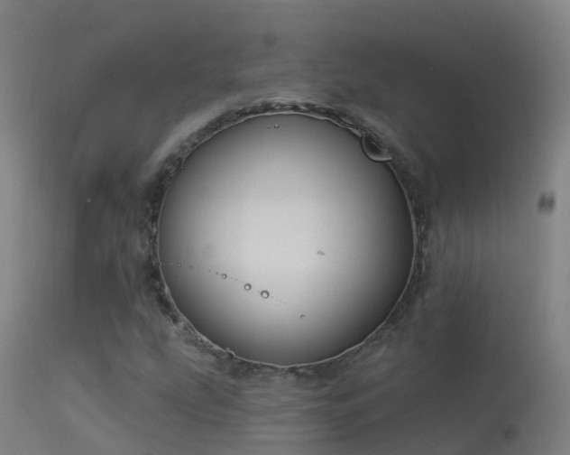 X0000114181207200910151652