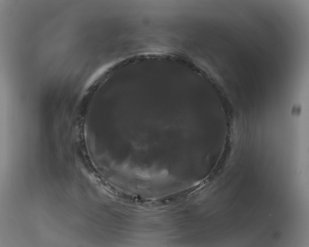 X0000114181208200910151652