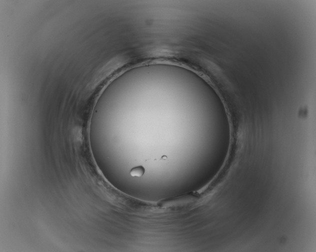 X0000114181209200910151652