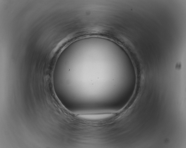 X0000114181210200910151652