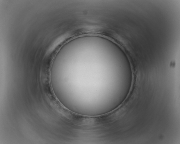 X0000114181211200910151652