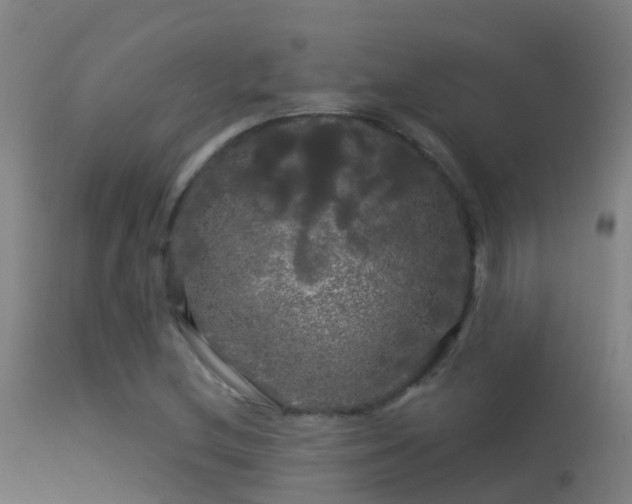 X0000114181212200910151652