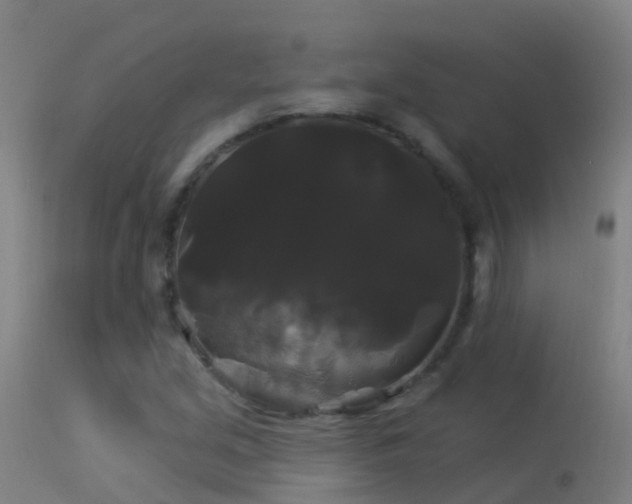 X0000114181213200910151652