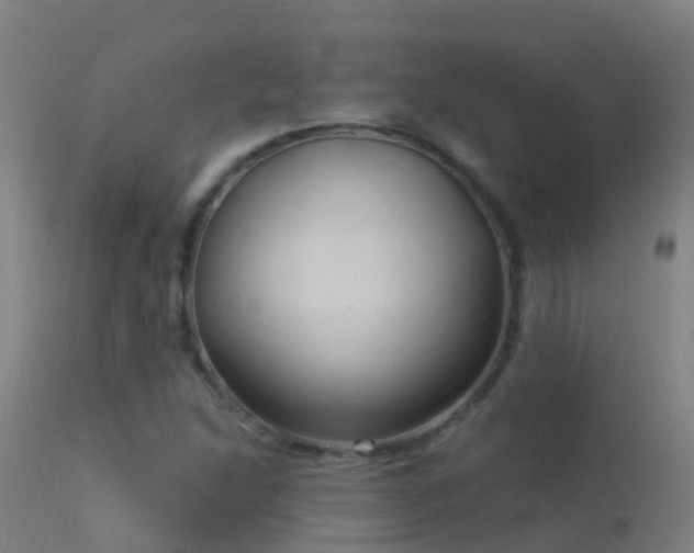X0000114181214200910151652