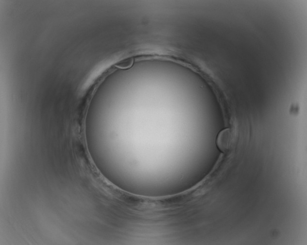 X0000114181215200910151652
