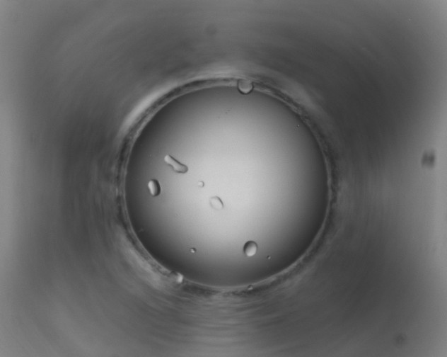 X0000114181216200910151652