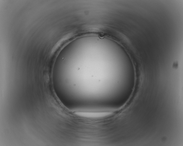 X0000114181218200910151652