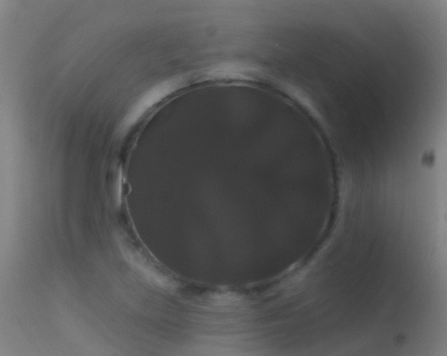 X0000114181219200910151652