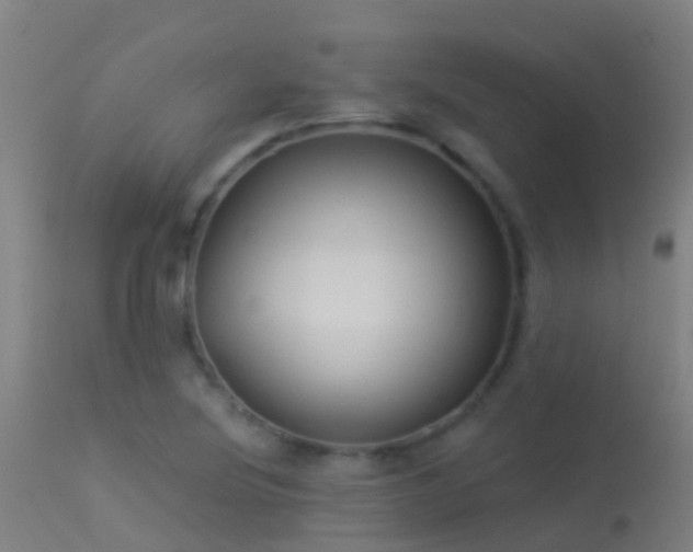 X0000114181220200910151652