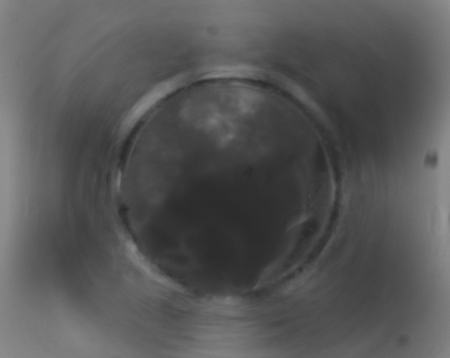 X0000114181221200910151652