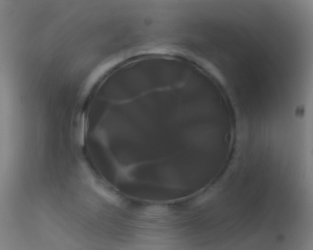 X0000114181223200910151652