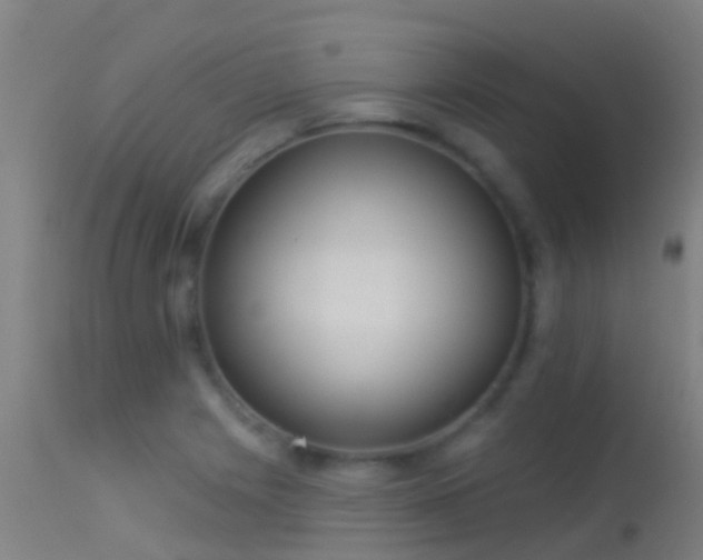 X0000114181225200910151652