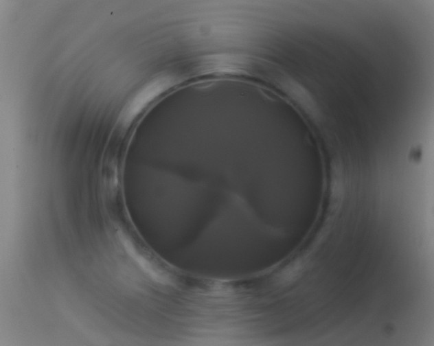 X0000114181226200910151652
