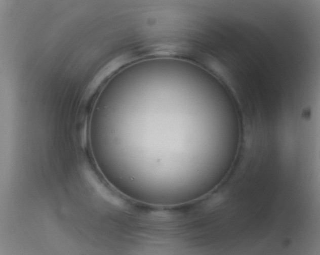 X0000114181227200910151652