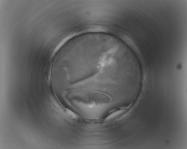 X0000114181228200910151652
