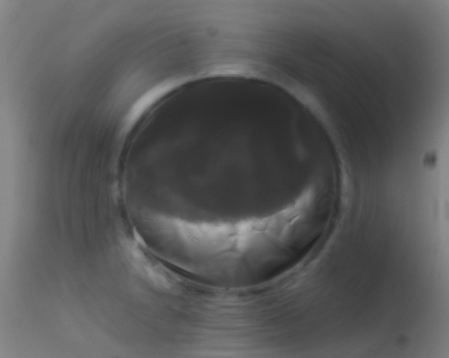 X0000114181230200910151653