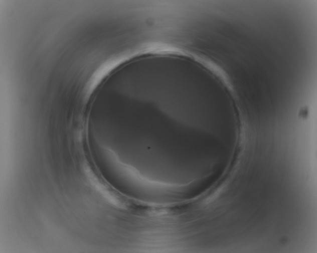 X0000114181231200910151653