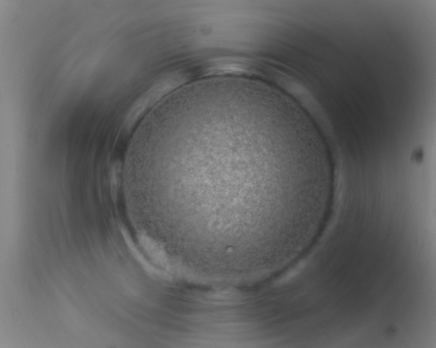 X0000114181233200910151653