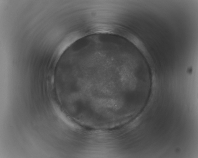 X0000114181234200910151653