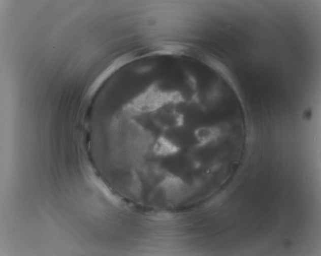 X0000114181235200910151653