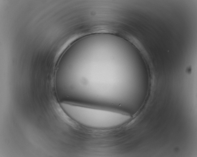 X0000114181236200910151653