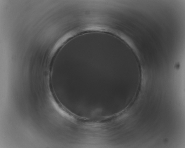 X0000114181237200910151653