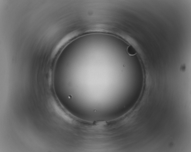 X0000114181238200910151653