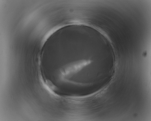 X0000114181239200910151653