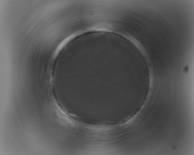 X0000114181240200910151653