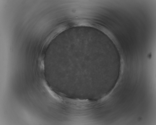 X0000114181241200910151653