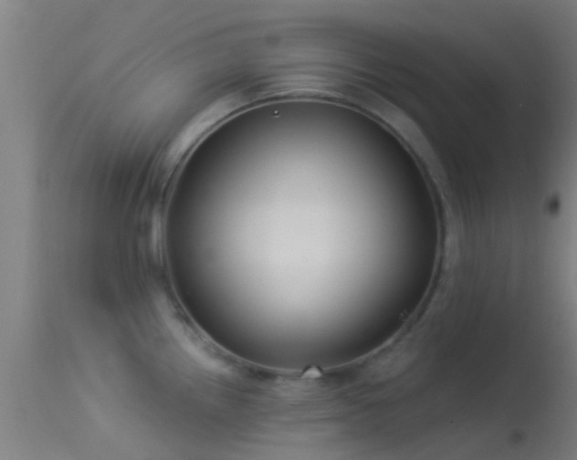 X0000114181242200910151653