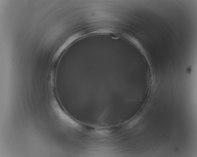 X0000114181243200910151653