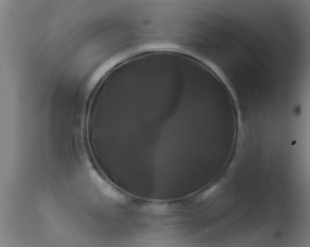 X0000114181245200910151653