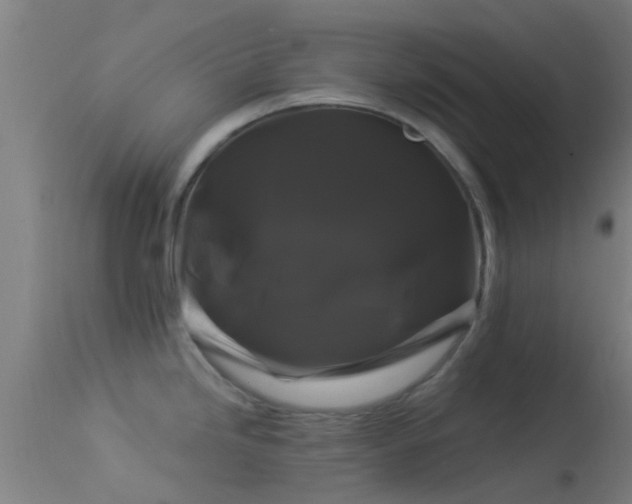 X0000114181246200910151653