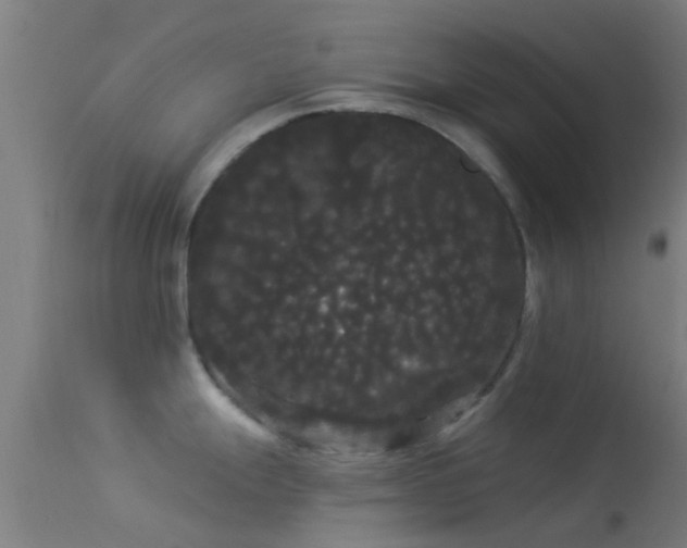 X0000114181247200910151653