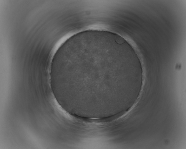 X0000114181248200910151653
