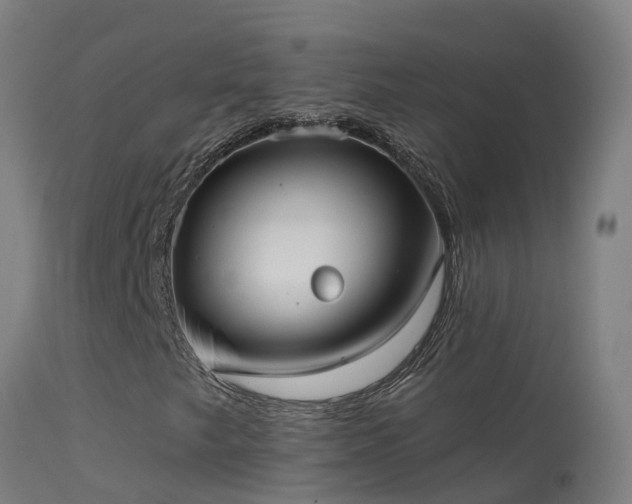 X0000114181249200910151652