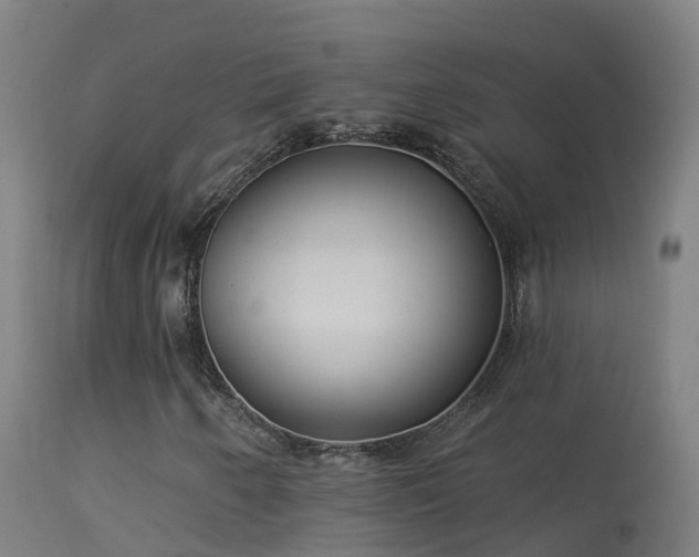 X0000114181250200910151652