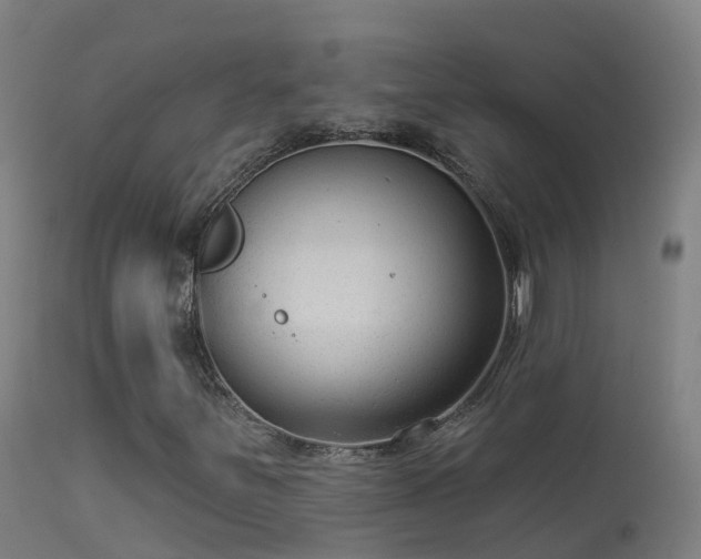 X0000114181251200910151652