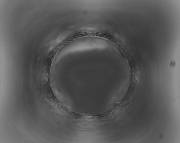 X0000114181253200910151652
