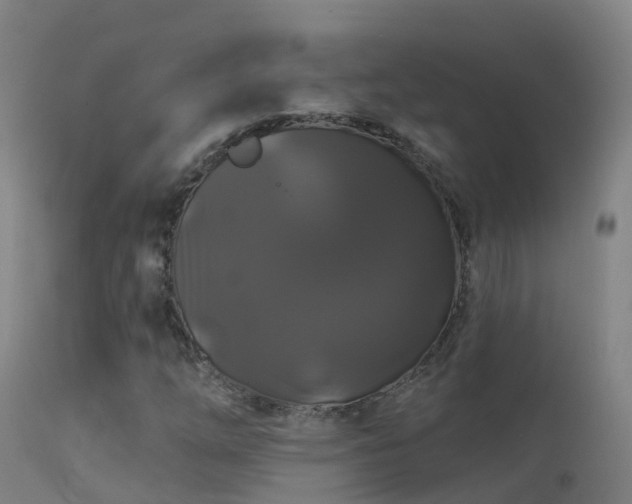 X0000114181254200910151652