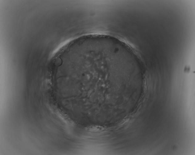 X0000114181255200910151652