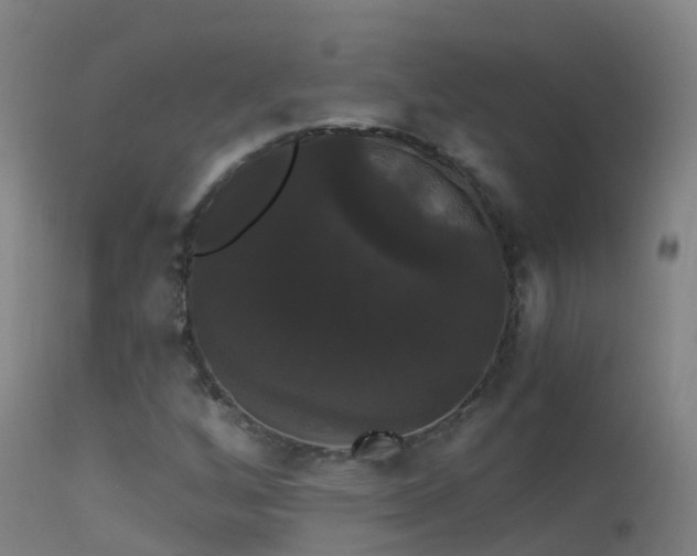 X0000114181256200910151652
