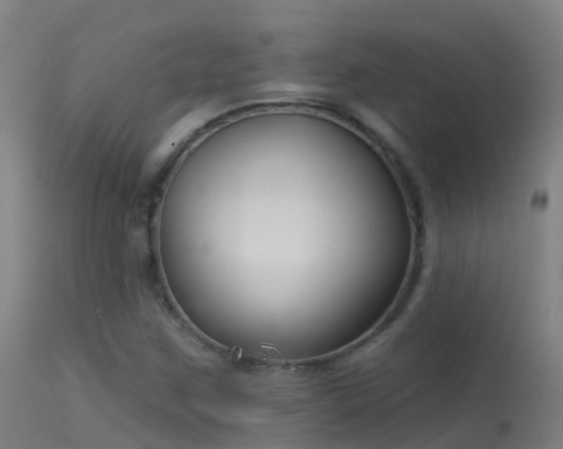 X0000114181259200910151652