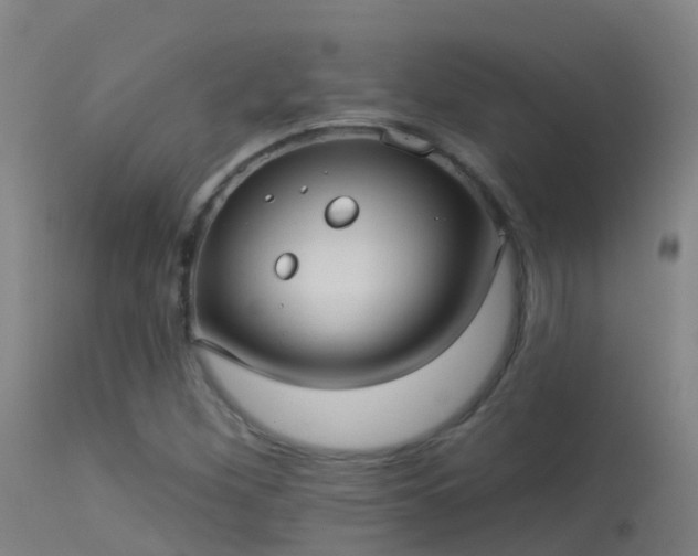 X0000114181260200910151652
