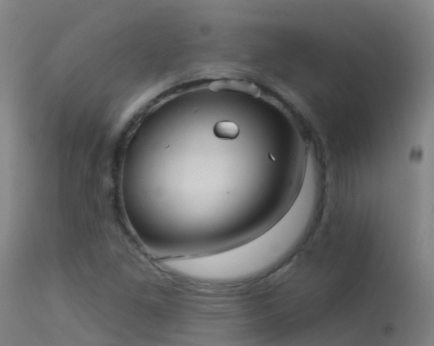 X0000114181261200910151652