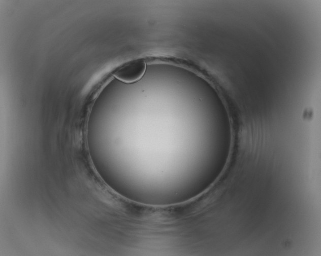X0000114181262200910151652