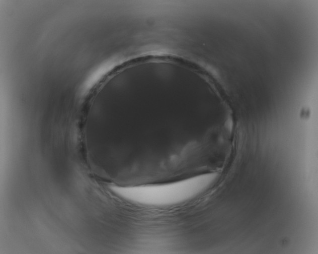 X0000114181263200910151652