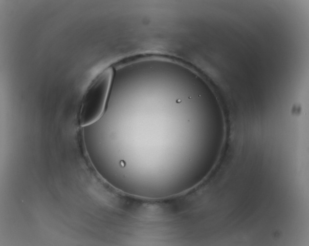 X0000114181264200910151652